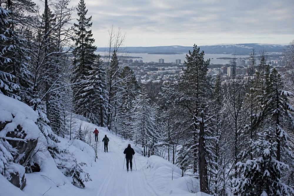 Skiers on a groomed trail through snowy Nordic forest near Oslo