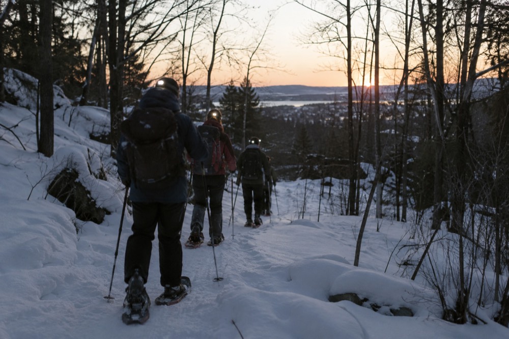 Group of walkers with headtorches and snowshoes on a night forest trail
