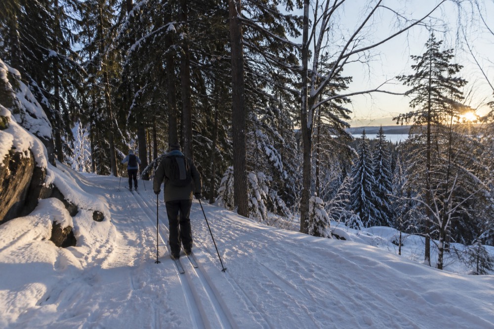 Cross-country ski trail through snowy pine forest above Oslo
