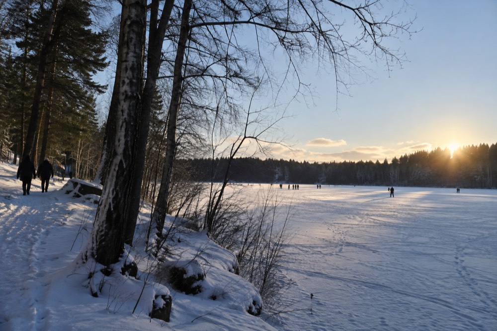 Frozen Sognsvann lake surrounded by forest in winter