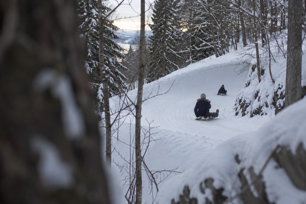 Banked toboggan run curving through snowy trees