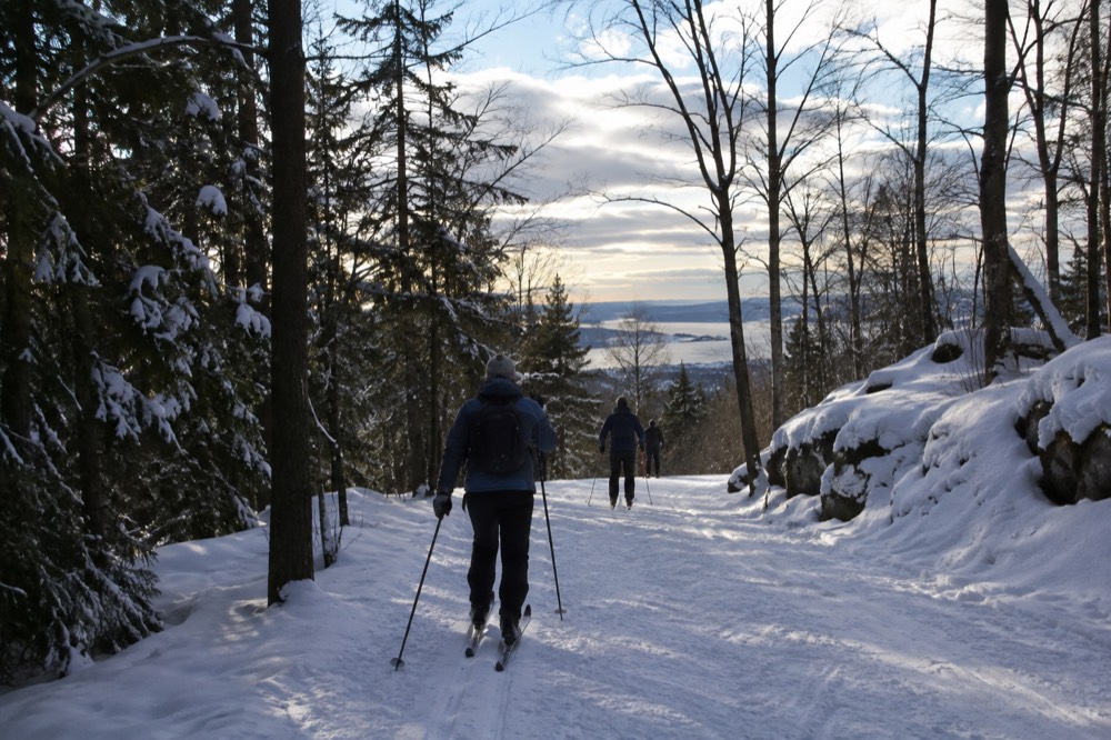 Skier in layered winter clothing on a forest trail