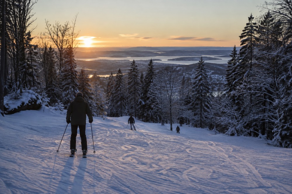 Low winter sun over snow-covered forest clearing