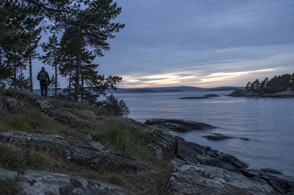 Rocky shoreline of a small Oslofjord island with clear water and pine trees