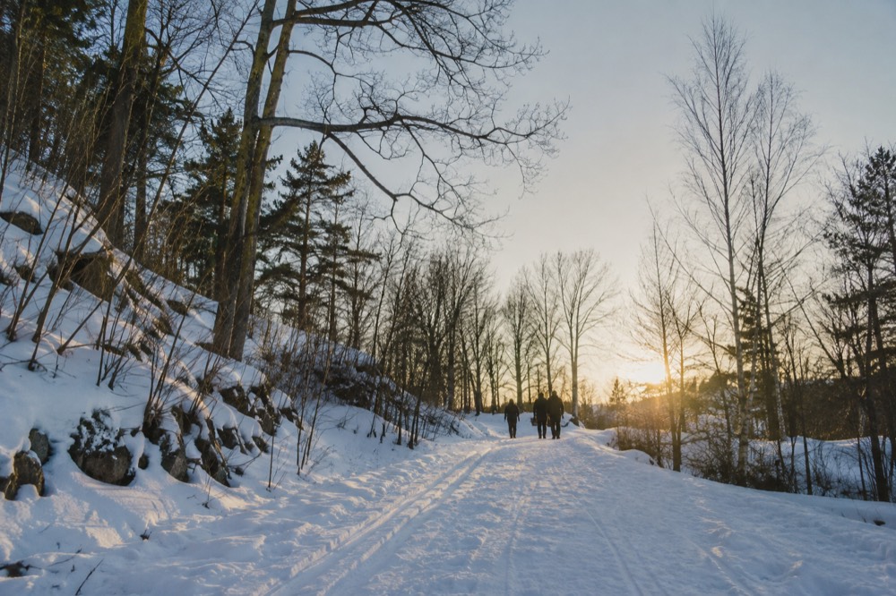 Snow-covered forest trail with ski tracks under a pale winter sky