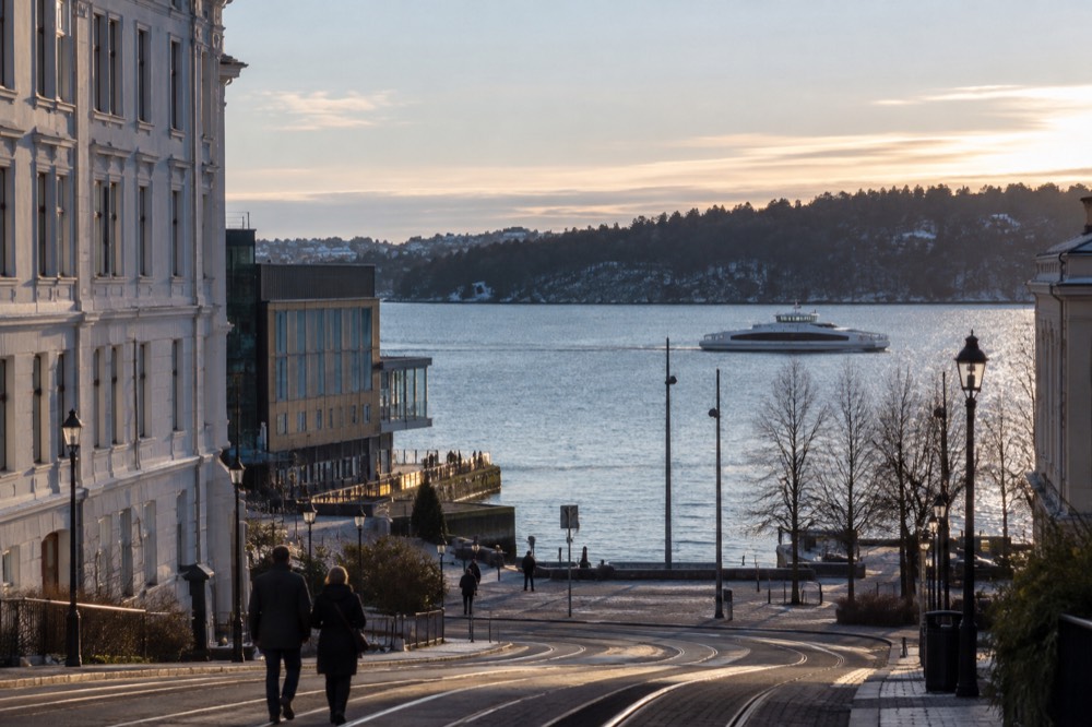 White electric sightseeing boat cruising past forested shoreline on the Oslofjord