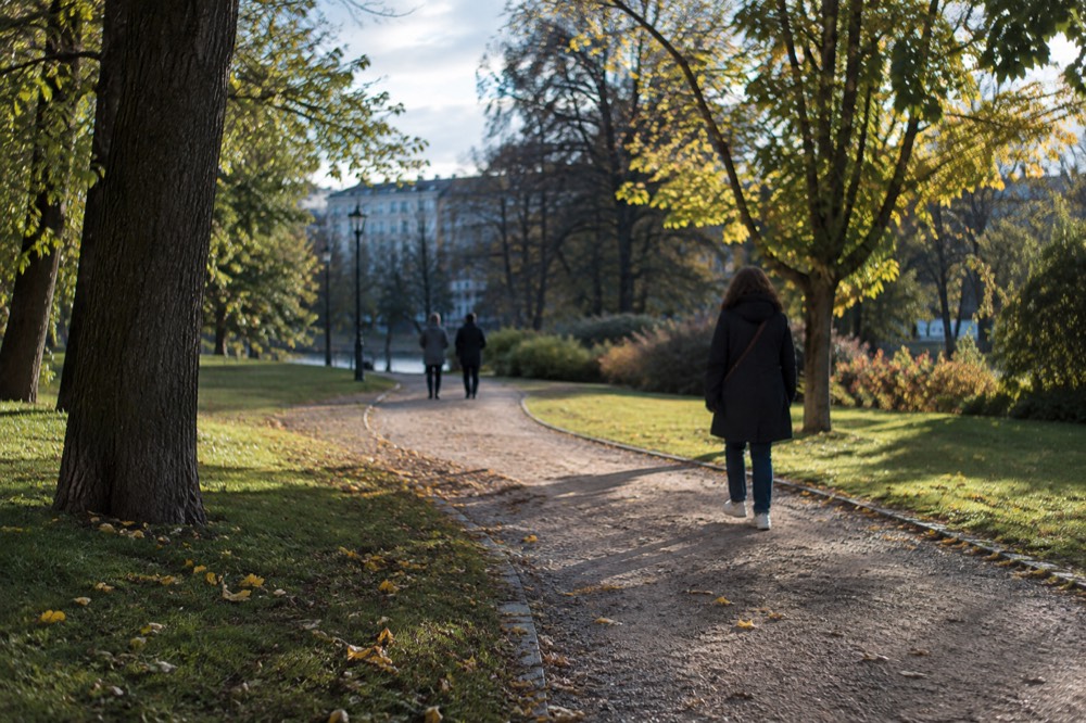 A gravel path curving through a large open park in Oslo with lawns and mature trees