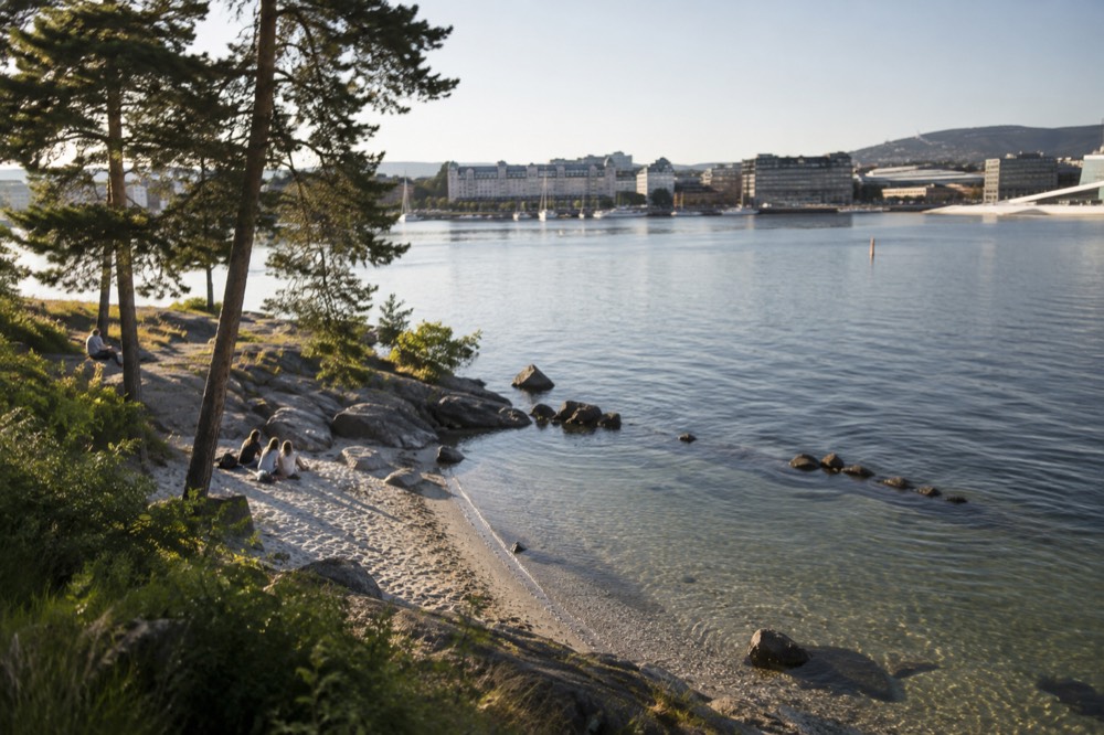 Clear shallow water over sand at an island beach with pine trees