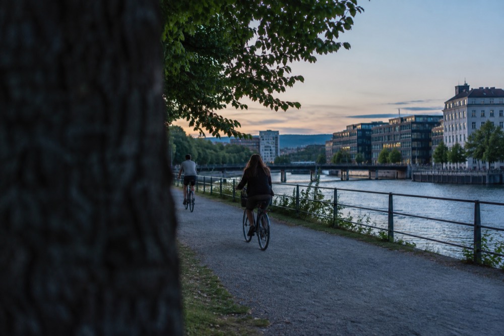 Cyclists on a riverside path under green trees in bright summer light