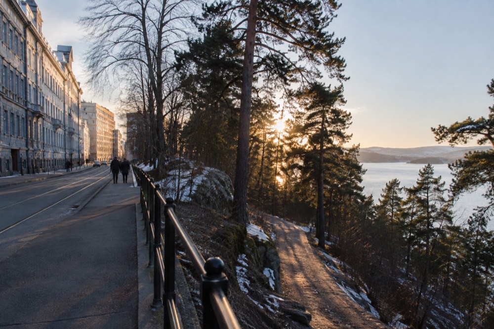 Marked forest path through pine woodland above an Oslo lake