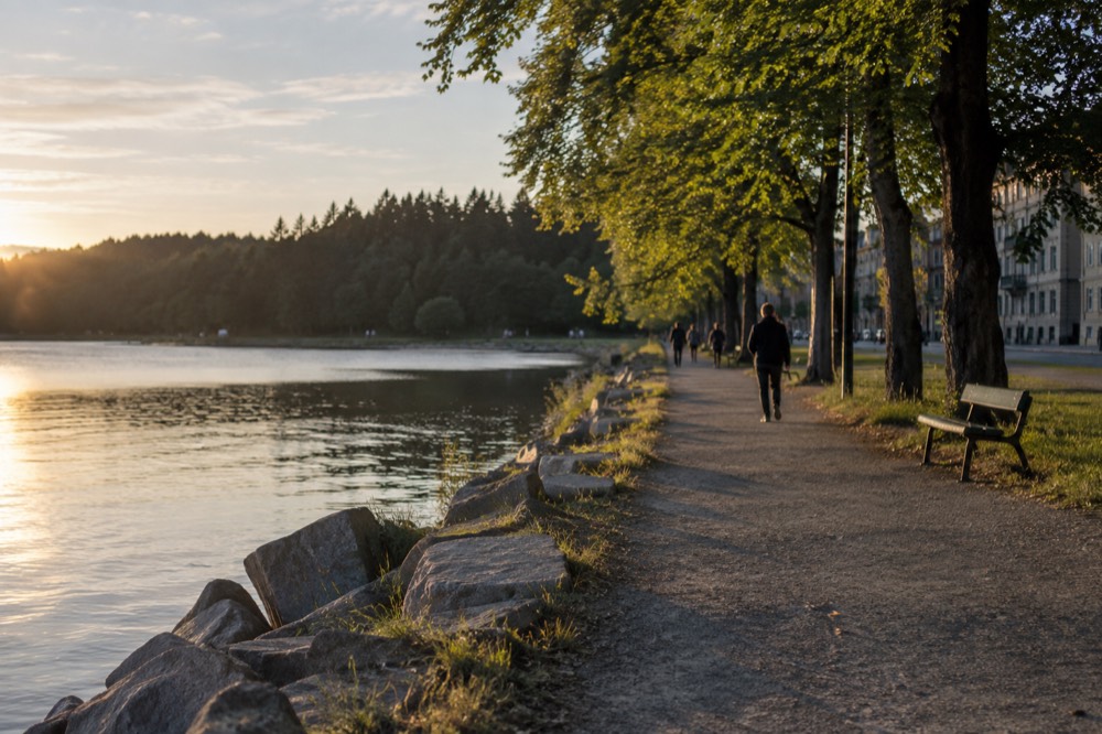 Calm lake surrounded by pine forest on a bright morning