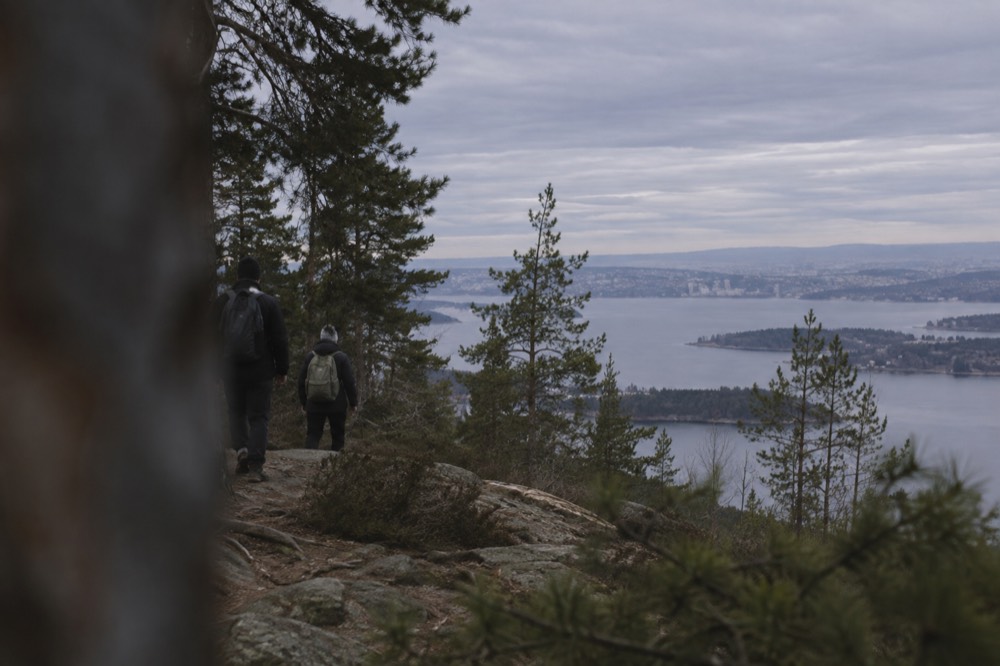 Hikers on a forest ridge overlooking the Oslofjord
