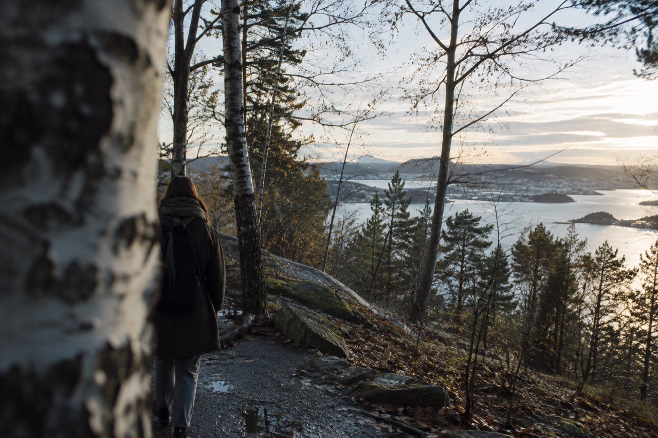 Forest trail above the Oslofjord with birch trees and a lake below