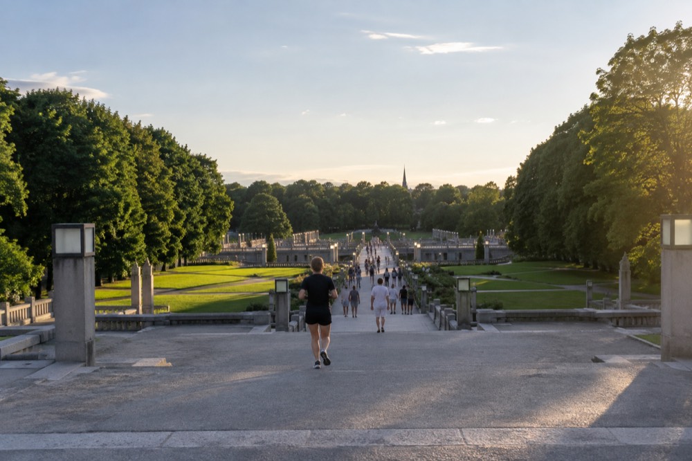Lawns and tall trees framing broad granite steps in the Vigeland sculpture park on a summer afternoon