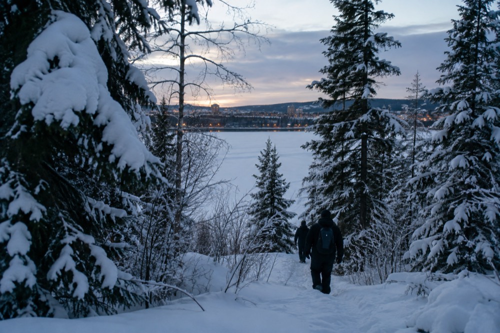 Snowshoe tracks leading through snow-laden spruce trees toward a frozen lake