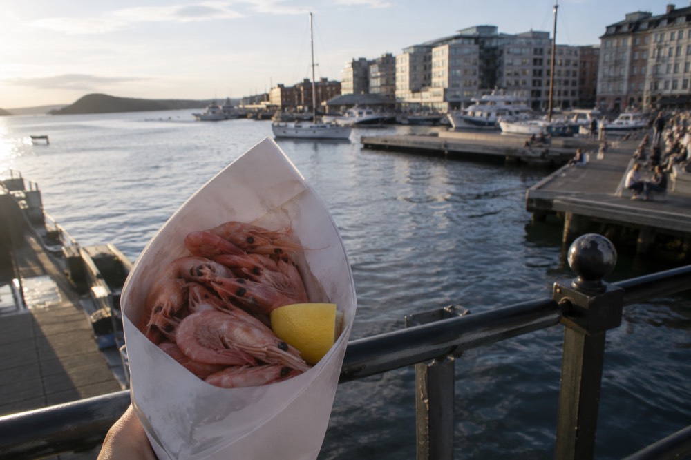 Paper cone of fresh shrimp held beside a fjord harbor railing