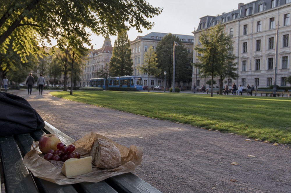 Simple picnic of bread, cheese and fruit on a park bench