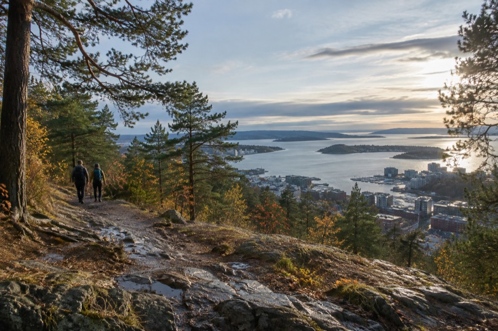 Hikers on a forest trail above the Oslofjord