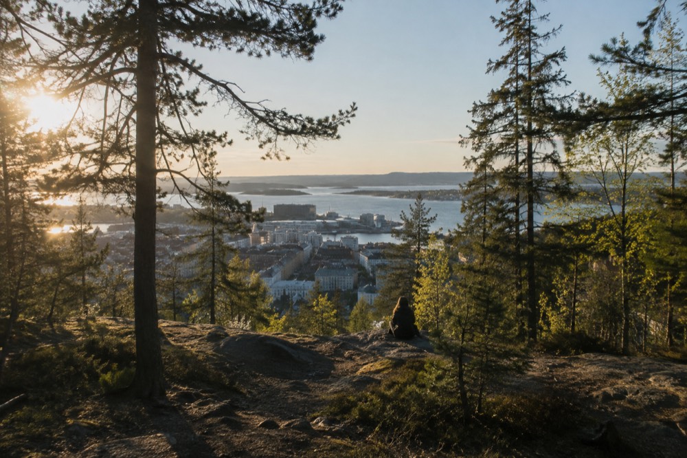 Forest trails above Oslo with fjord glimpses toward the city