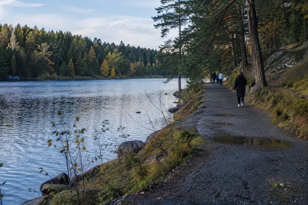 A calm forest lake surrounded by pines with a gravel path along the shore