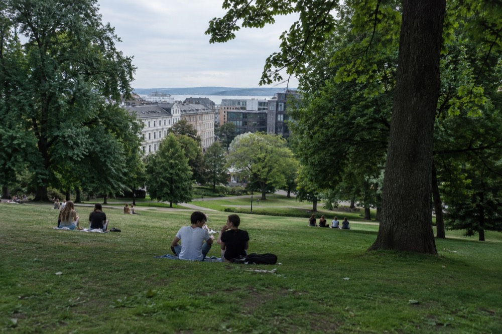 A green city park in Oslo with people on blankets under tall trees
