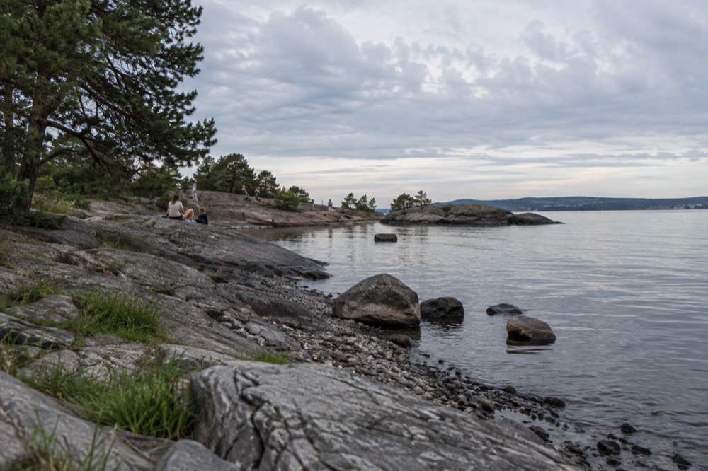A rocky beach on an Oslofjord island with calm water and pine trees