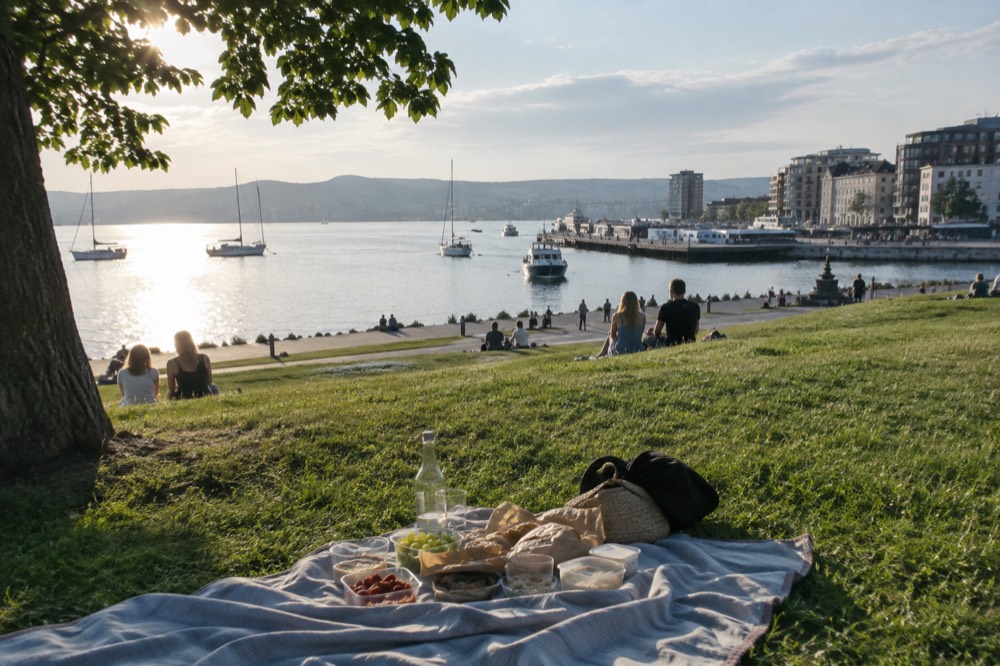 A picnic blanket on grass beside the Oslofjord with food and a view of boats