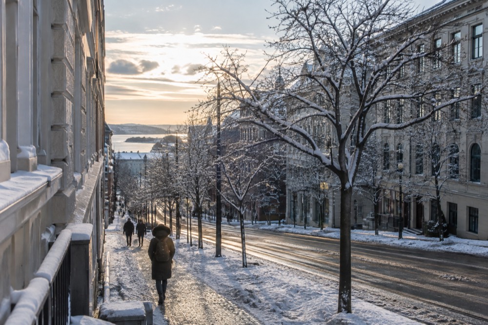 Frost-covered trees along an Oslo street in low winter light
