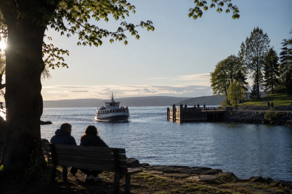 A small passenger ferry approaching a wooden pier on a green peninsula