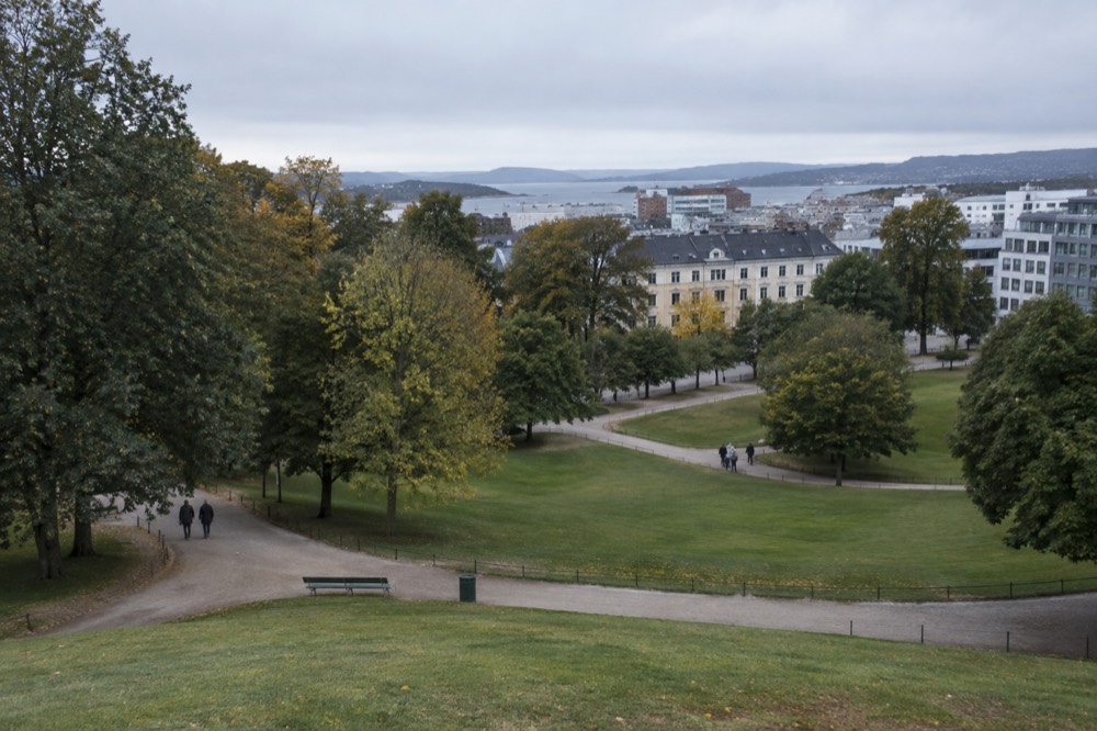 An open park with wide lawns, tall trees and visitors strolling along gravel paths