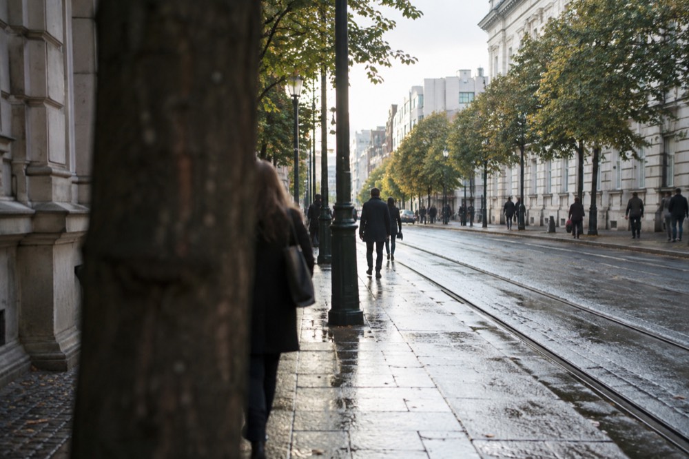 People strolling a wide city avenue lined with trees and old buildings