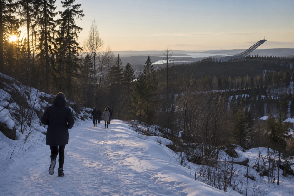 The ski jump tower at Holmenkollen above pine forest
