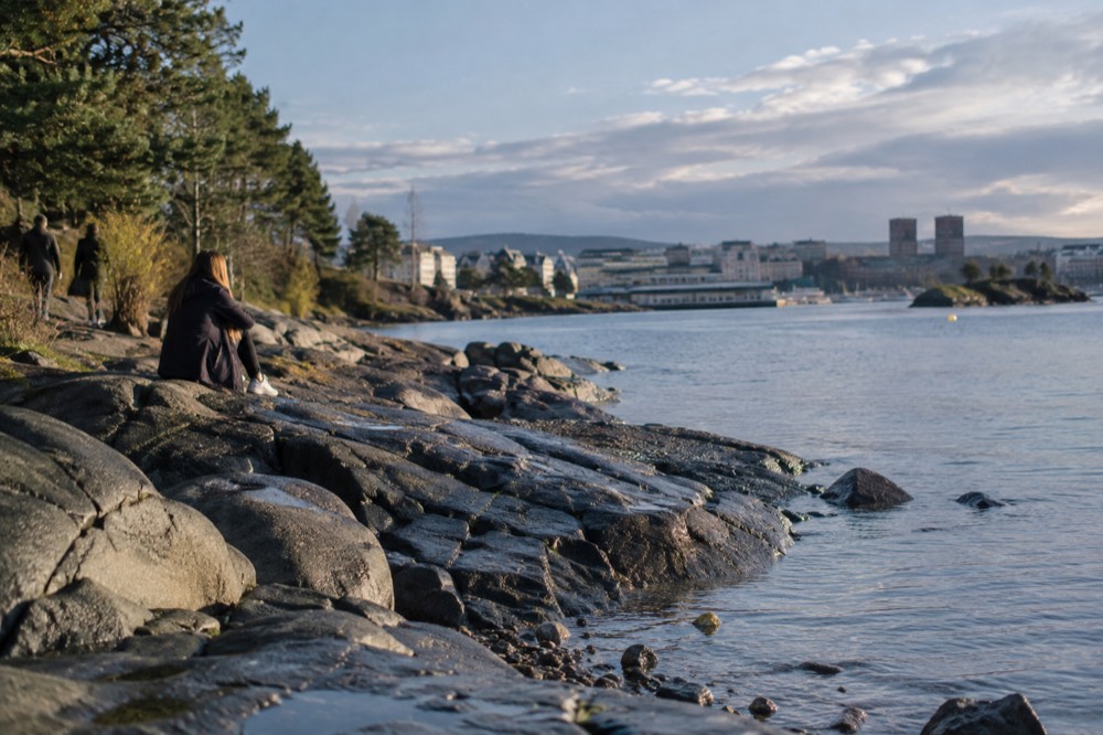 A rocky beach on a green island in the Oslofjord with calm water