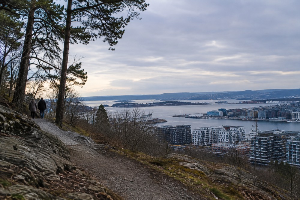 Forest trail above Oslo with view over the fjord and city
